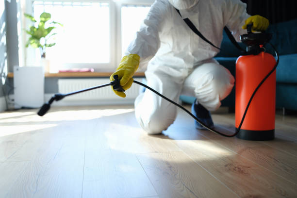Reliable Hoarding Cleanup contractor in Washington, DC by Crime Scene Cleaner Online